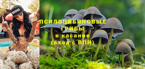 ECSTASY Алексеевка