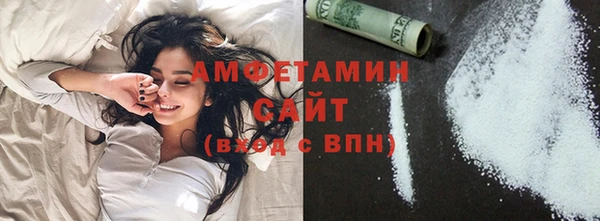 мет Алексин