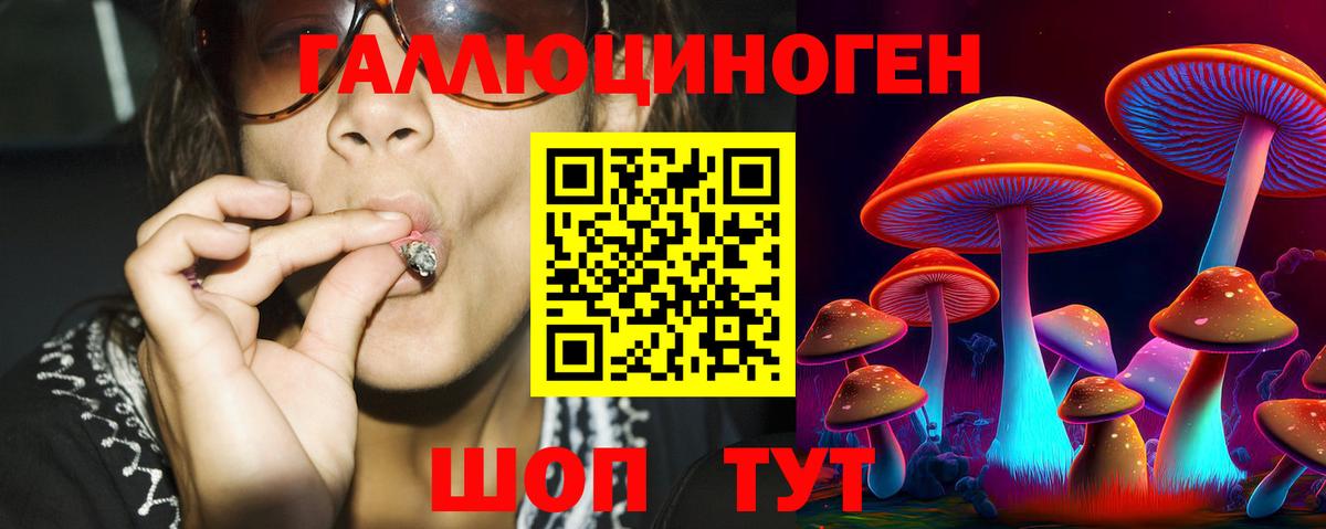 Псилоцибиновые грибы Psilocybe Нарьян-Мар